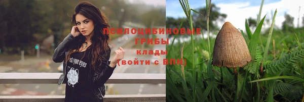прущие крисы Дмитровск