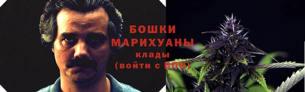 прущие крисы Дмитровск