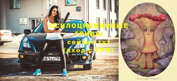 прущие крисы Дмитровск