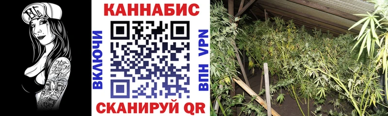 Купить закладки  Спас-Клепики  Каннабис Amnesia 
